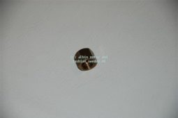MOER ALBIN O22/O41/O411/AL23