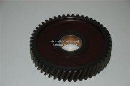 CENTRALE TANDWIEL DISTRIBUTIE