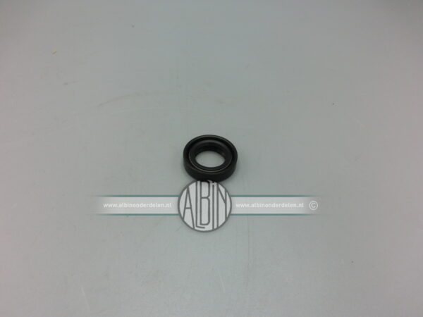 KEERRING 17X28X7 RFR.